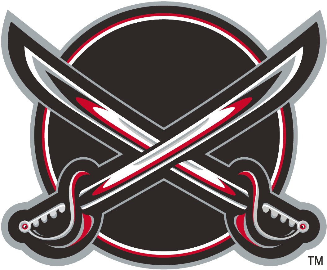 Buffalo Sabres 2000-2006 Alternate Logo t shirts DIY iron ons